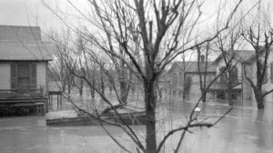 Hawthorn Street during the 1913 Flood