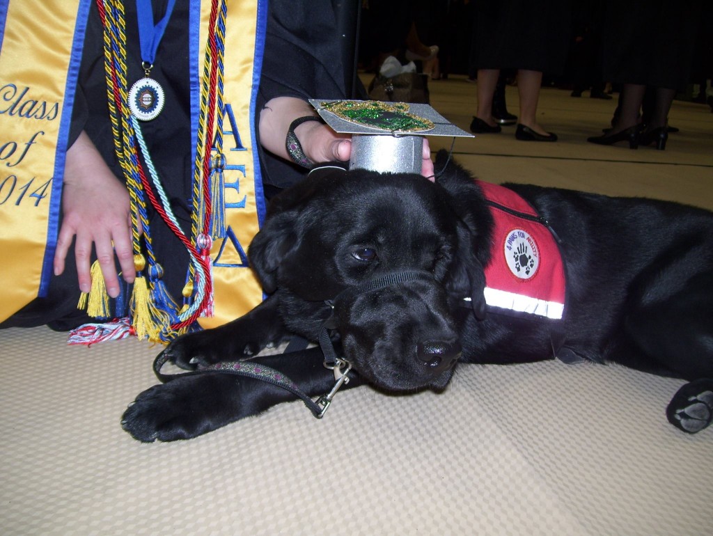 Isra the #archivespuppy graduated too
