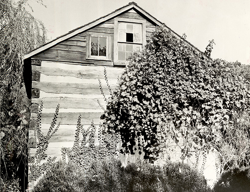 Galloway cabin, 1967 (xeniahomes_07)